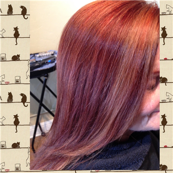 Hair Salons Carlsbad Hnger Games